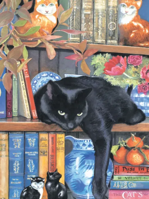 Chrissy Snelling - On the Shelf