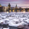 Christian Ringer - Prague