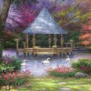 Chuck Pinson - Chuck Pinson - Swan Pond