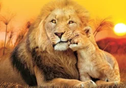 Câlin Inattendu