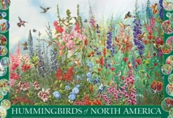 Colibris d'Amérique du Nord