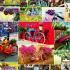 Collage - Vélos