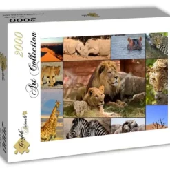 Collage - Wildlife