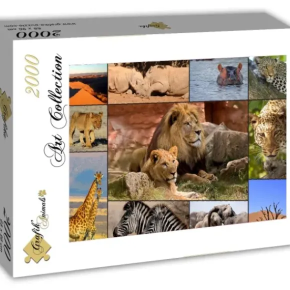Collage - Wildlife