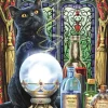 Collection Magic : L'Apprenti Sorcière