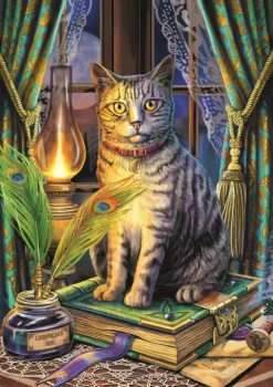 Collection Magic : Livre Des Ombres