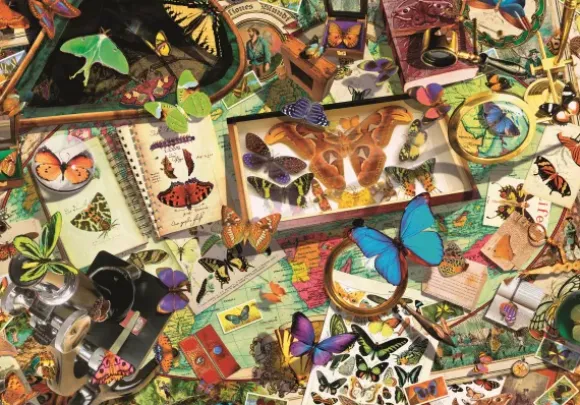 Collectionneur De Papillons