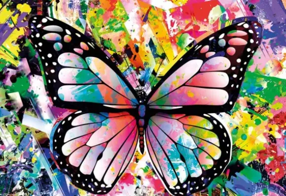Colorful Butterfly