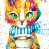 Colorful Cat