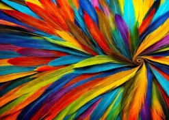 Colorful Feathers