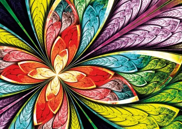 Colorful Flower