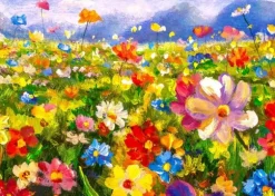 Colorful Flower Meadow