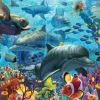 Coral Sea