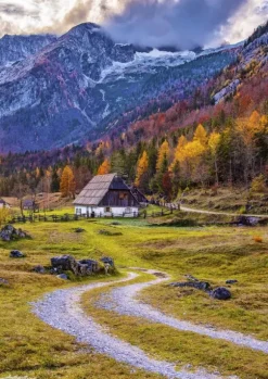 Cottage in the Mountains