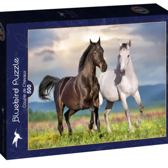 Couple de Chevaux