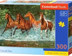 Course de la Cascade