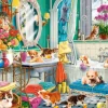 Crazy Pet Bath