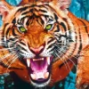 Crazy Shapes - Facing a tiger