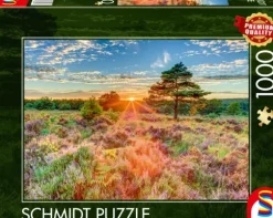 Crépuscule sur la Lande