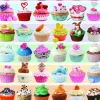 Cupcake Celebration