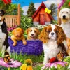 Écusson pour Chiot