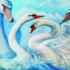 Cygnes
