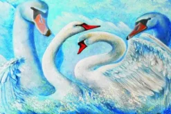Cygnes