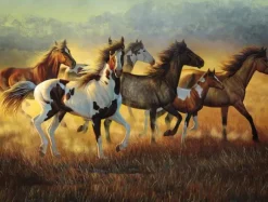 Cynthia Fisher - Running with the Wind