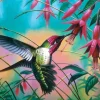 Cynthie Fisher - Hummingbird Haven
