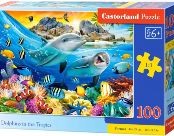 Dauphins dans les Tropiques