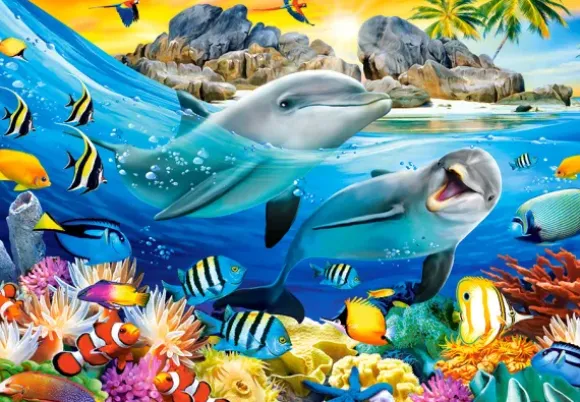 Dauphins sous les Tropiques