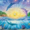David Mateu - Dolphins