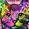 Dean Russo - Dean Russo: 9 Lives
