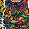 Dean Russo - Necessity Cat
