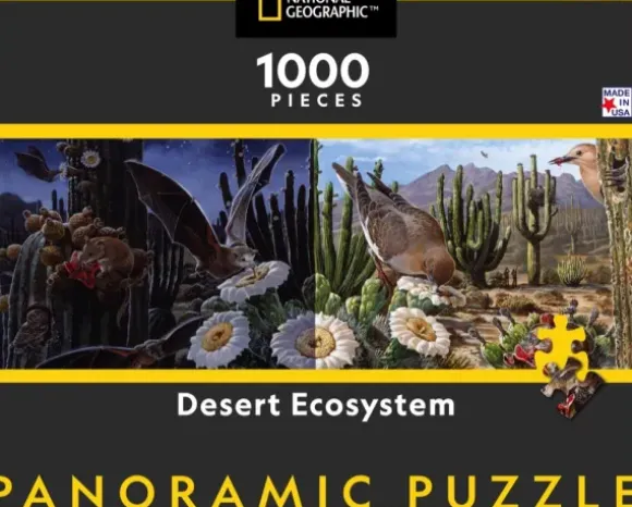 Desert Ecosystem