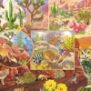 Desert Magic