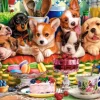 Dessert Pour Chiots