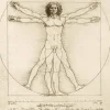 De Vinci Léonard - Leonard De Vinci - The Vitruvian Man, 1490