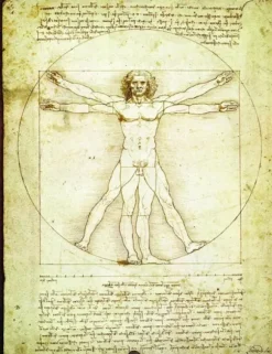 De Vinci Léonard - Leonard de Vinci : L'homme de Vitruve