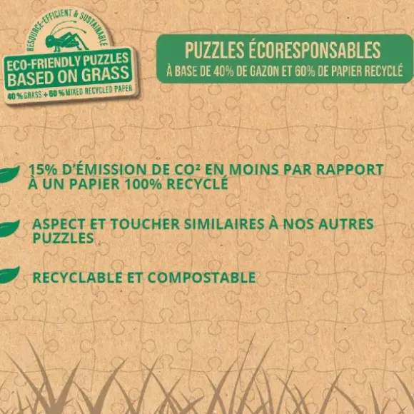 Disney - Le Roi Lion Se Souvient De Qui Vous Êtes - Eco-Friendly