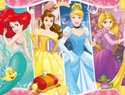 Disney Princesses