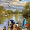 Dog Day Afternoon