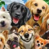 Dogs' Selfy