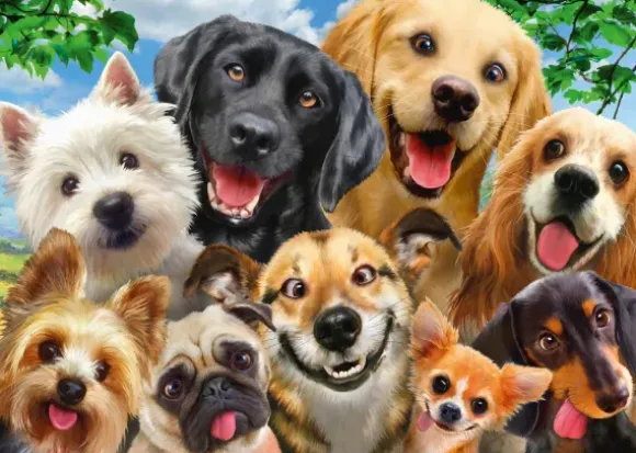 Dogs' Selfy