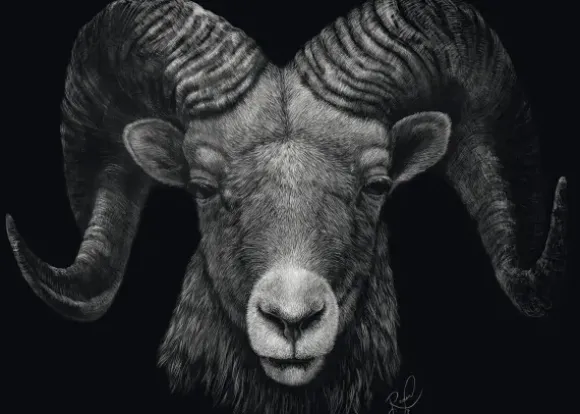 Dominant – Le Bélier : Sous le Signe du Feu