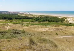 Dunes d'Hardelot, Côte d'Opale, France