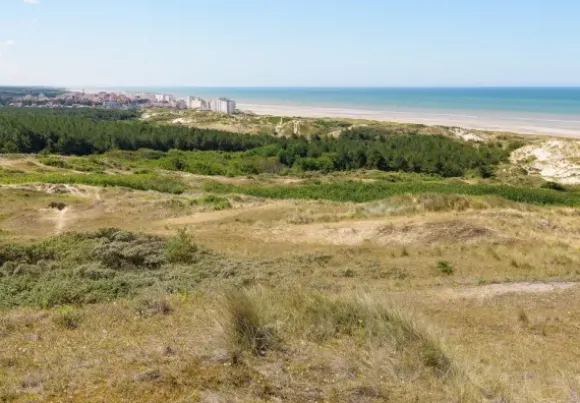 Dunes d'Hardelot, Côte d'Opale, France