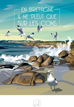 En BRETAGNE Il ne pleut que sur les Cons