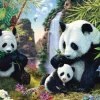 Famille de Pandas