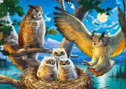 Famille d'Hiboux